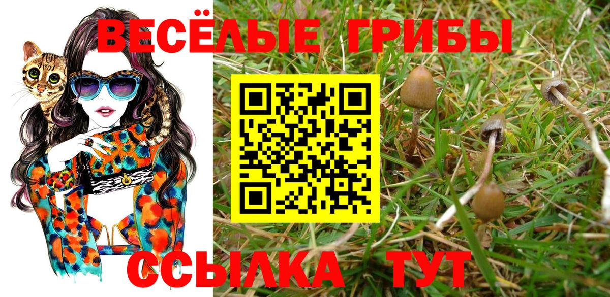 Галлюциногенные грибы прущие грибы Дзержинский