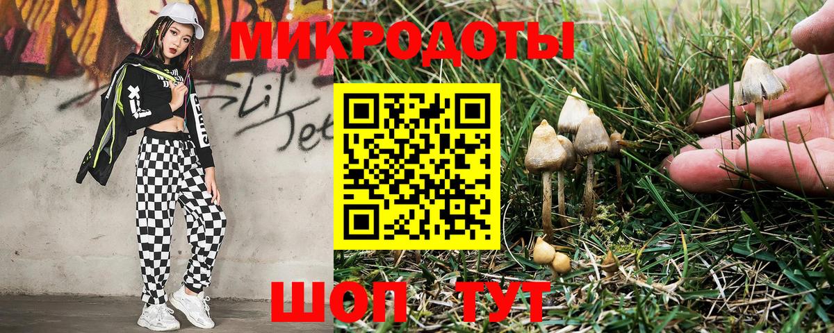 Дзержинский  Галлюциногенные грибы прущие грибы  Вход с VPN 